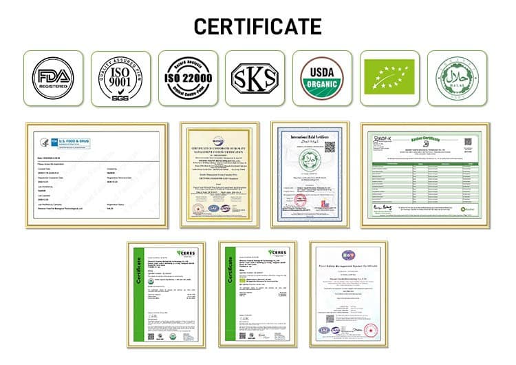 Nicotinamide Adenine Dinucleotide (NAD) Powder - Image 2